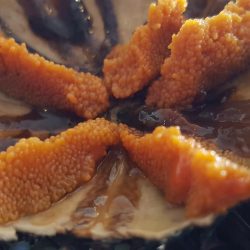 e qui...è un esperienza